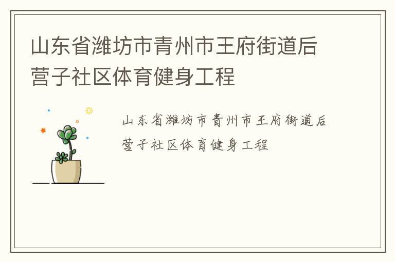 山東省濰坊市青州市王府街道后營子社區(qū)體育健身工程