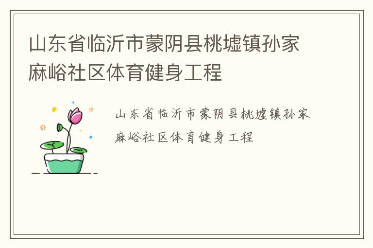 山東省臨沂市蒙陰縣桃墟鎮孫家麻峪社區體育健身工程