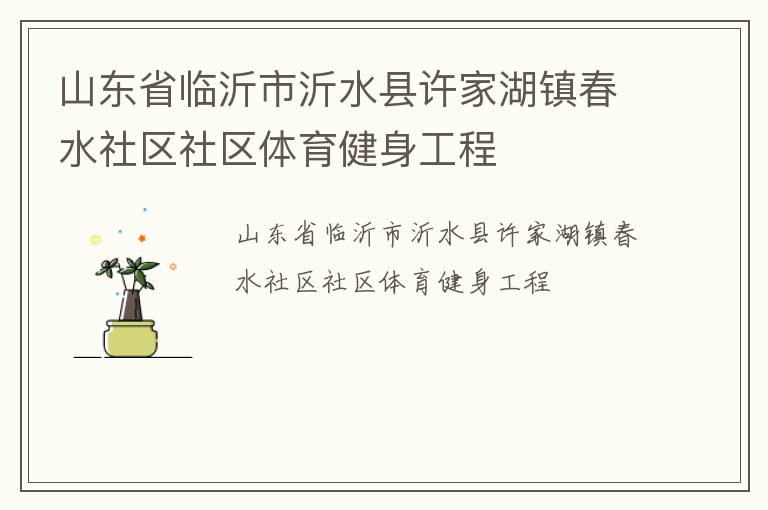 山東省臨沂市沂水縣許家湖鎮春水社區社區體育健身工程