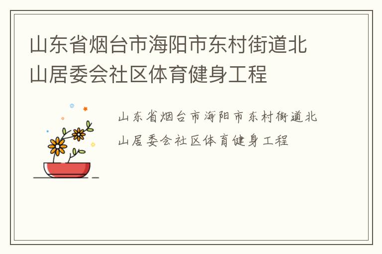 山東省煙臺市海陽市東村街道北山居委會社區體育健身工程