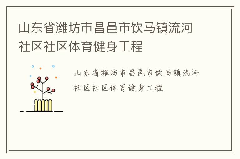 山東省濰坊市昌邑市飲馬鎮流河社區社區體育健身工程