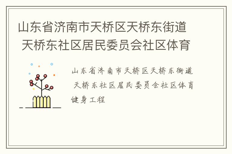 山東省濟南市天橋區(qū)天橋東街道 天橋東社區(qū)居民委員會社區(qū)體育健身工程