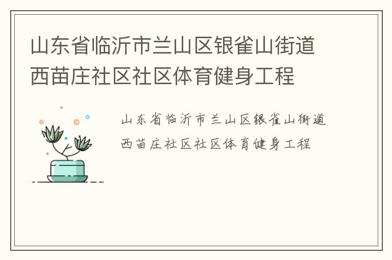 山東省臨沂市蘭山區銀雀山街道西苗莊社區社區體育健身工程