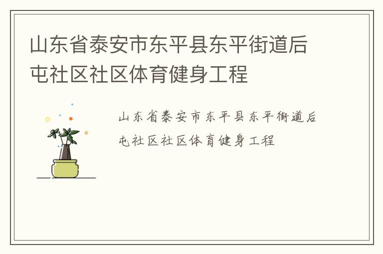 山東省泰安市東平縣東平街道后屯社區社區體育健身工程