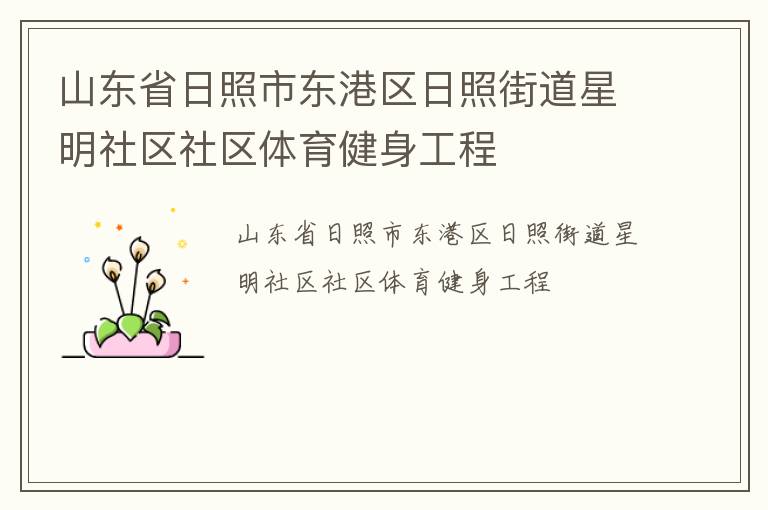 山東省日照市東港區(qū)日照街道星明社區(qū)社區(qū)體育健身工程