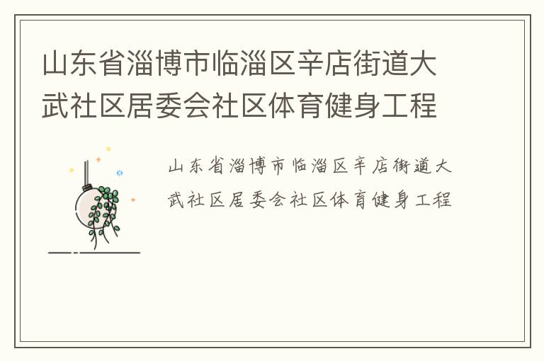 山東省淄博市臨淄區辛店街道大武社區居委會社區體育健身工程
