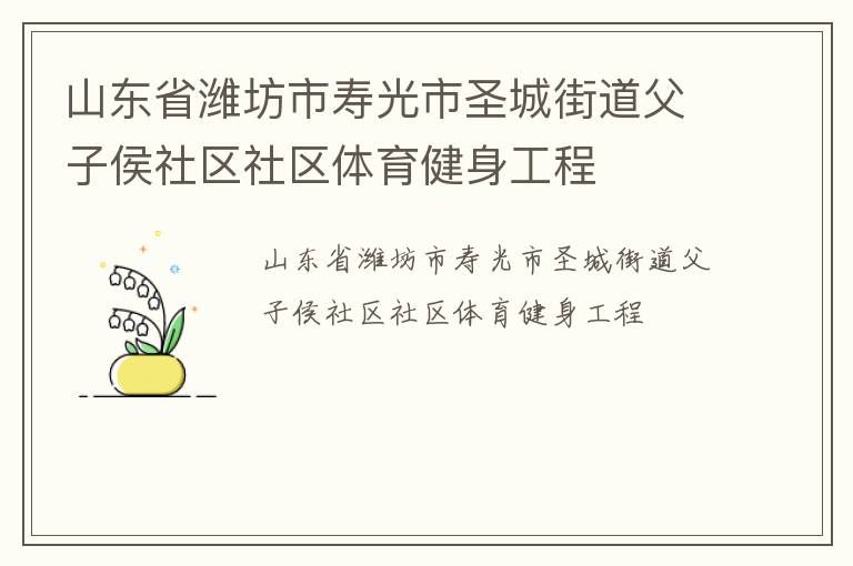 山東省濰坊市壽光市圣城街道父子侯社區社區體育健身工程