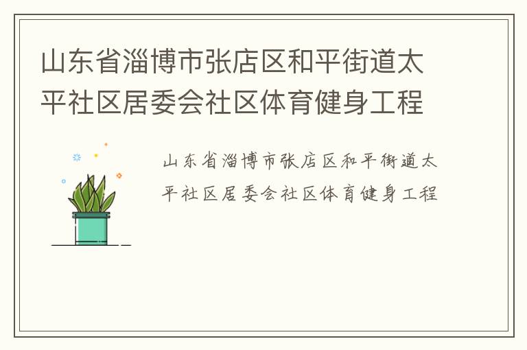 山東省淄博市張店區(qū)和平街道太平社區(qū)居委會社區(qū)體育健身工程