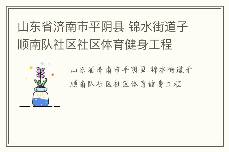 山東省濟南市平陰縣 錦水街道子順南隊社區社區體育健身工程