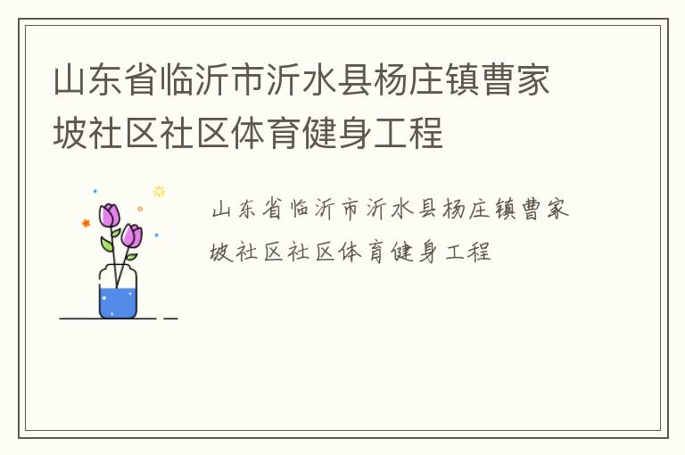 山東省臨沂市沂水縣楊莊鎮曹家坡社區社區體育健身工程