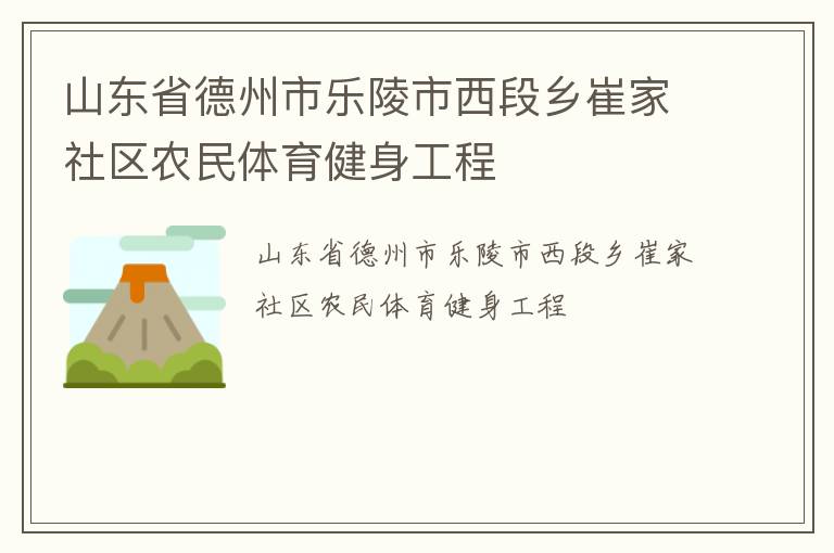 山東省德州市樂陵市西段鄉崔家社區農民體育健身工程