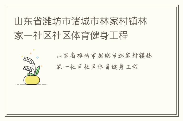 山東省濰坊市諸城市林家村鎮林家一社區社區體育健身工程