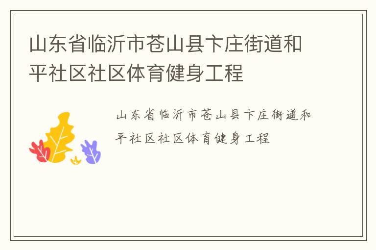 山東省臨沂市蒼山縣卞莊街道和平社區社區體育健身工程
