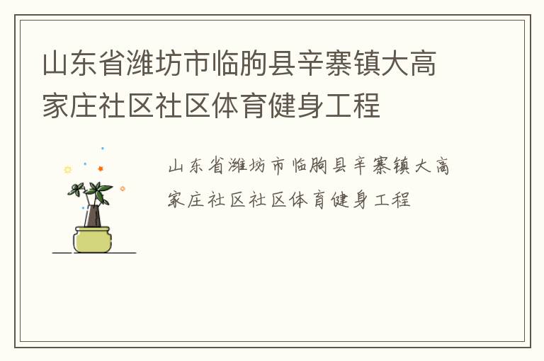 山東省濰坊市臨朐縣辛寨鎮大高家莊社區社區體育健身工程