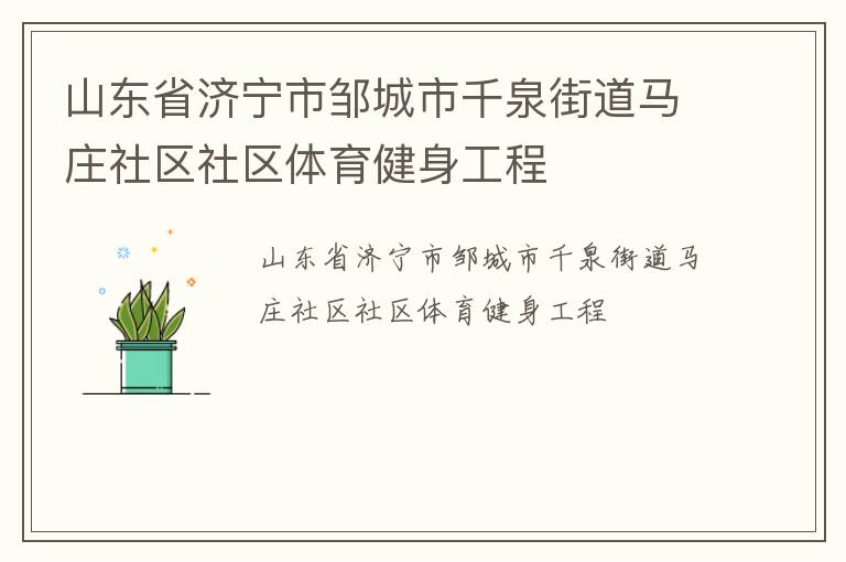 山東省濟寧市鄒城市千泉街道馬莊社區社區體育健身工程