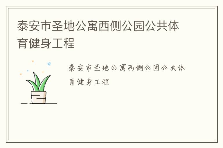 泰安市圣地公寓西側公園公共體育健身工程