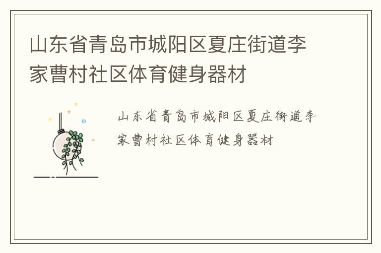 山東省青島市城陽(yáng)區(qū)夏莊街道李家曹村社區(qū)體育健身器材