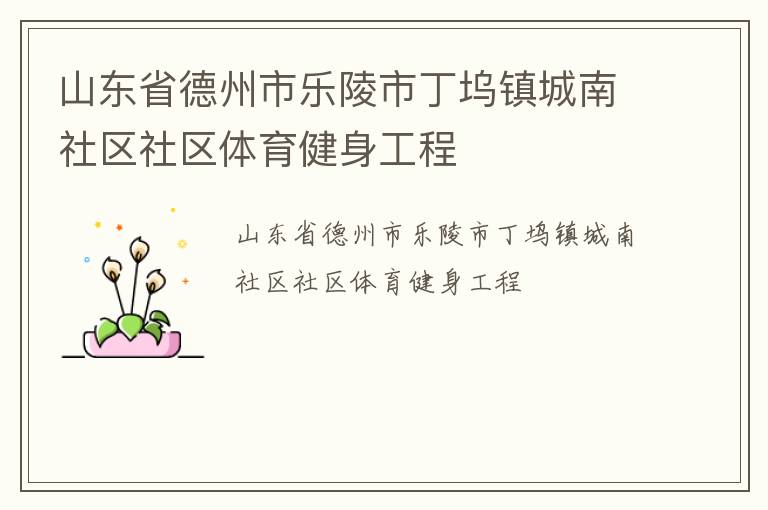 山東省德州市樂(lè)陵市丁塢鎮(zhèn)城南社區(qū)社區(qū)體育健身工程