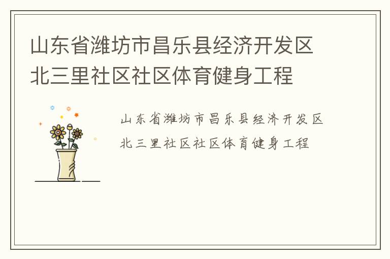 山東省濰坊市昌樂縣經濟開發區北三里社區社區體育健身工程
