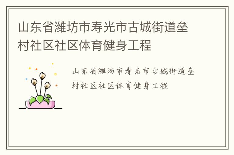 山東省濰坊市壽光市古城街道壘村社區社區體育健身工程