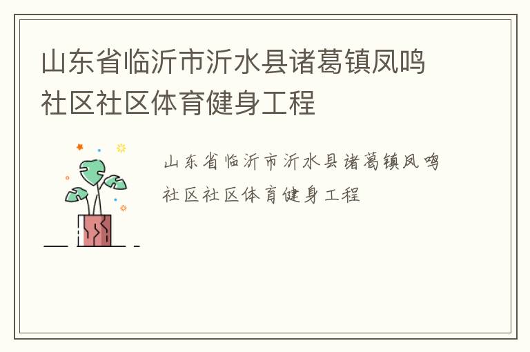 山東省臨沂市沂水縣諸葛鎮鳳鳴社區社區體育健身工程