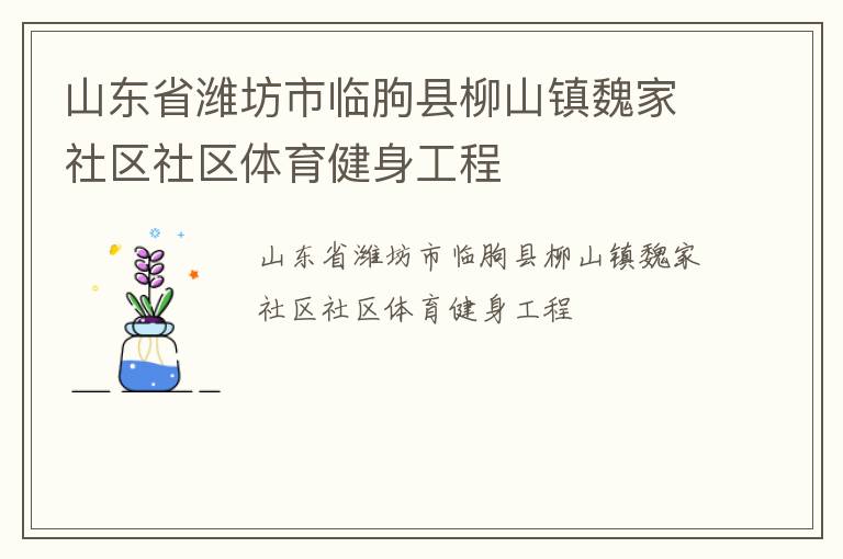 山東省濰坊市臨朐縣柳山鎮魏家社區社區體育健身工程
