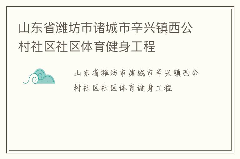 山東省濰坊市諸城市辛興鎮西公村社區社區體育健身工程