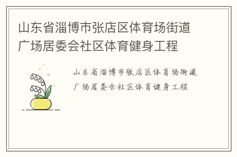 山東省淄博市張店區體育場街道廣場居委會社區體育健身工程