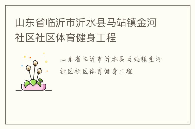 山東省臨沂市沂水縣馬站鎮金河社區社區體育健身工程