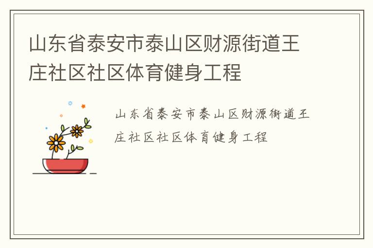 山東省泰安市泰山區財源街道王莊社區社區體育健身工程