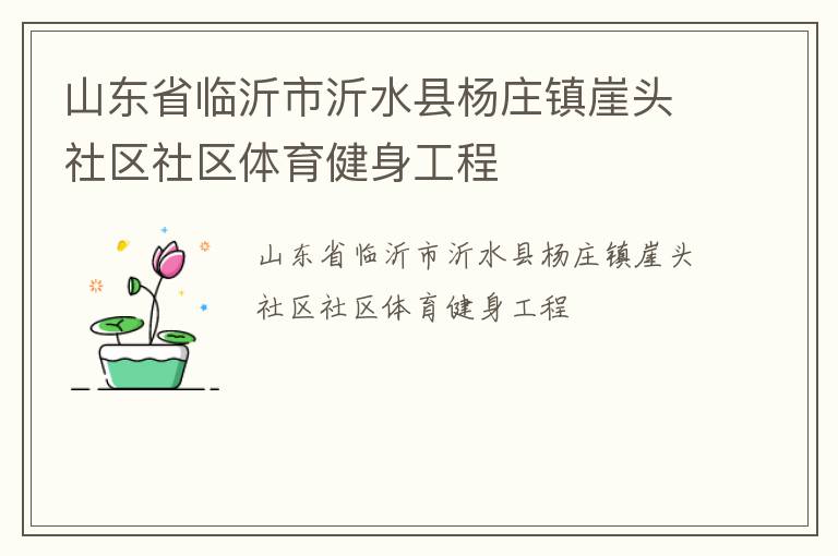 山東省臨沂市沂水縣楊莊鎮崖頭社區社區體育健身工程