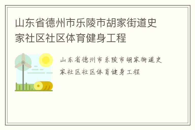 山東省德州市樂陵市胡家街道史家社區社區體育健身工程