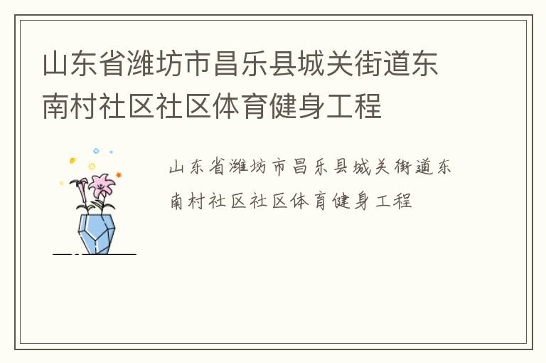 山東省濰坊市昌樂縣城關街道東南村社區社區體育健身工程