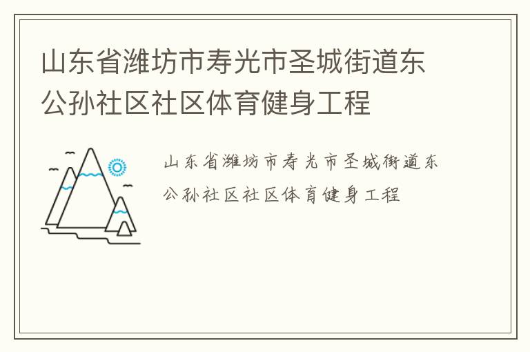 山東省濰坊市壽光市圣城街道東公孫社區社區體育健身工程