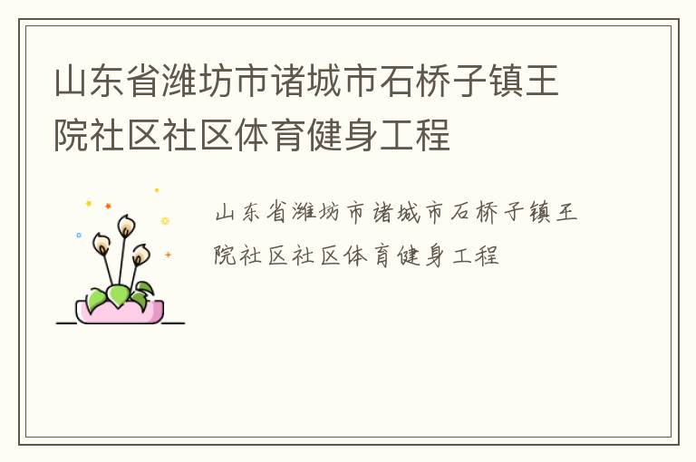 山東省濰坊市諸城市石橋子鎮王院社區社區體育健身工程