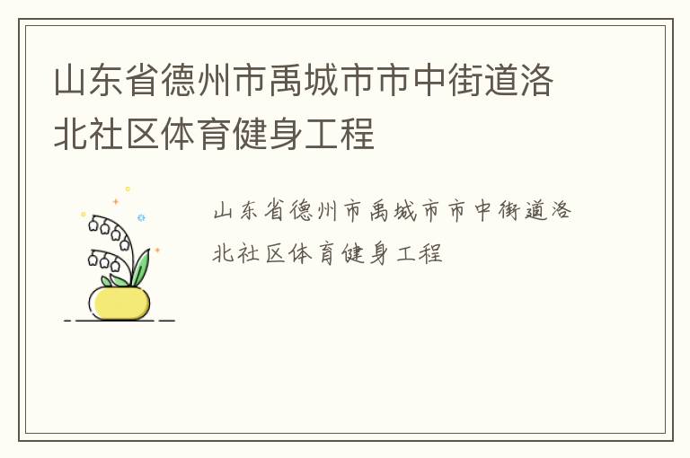 山東省德州市禹城市市中街道洛北社區體育健身工程