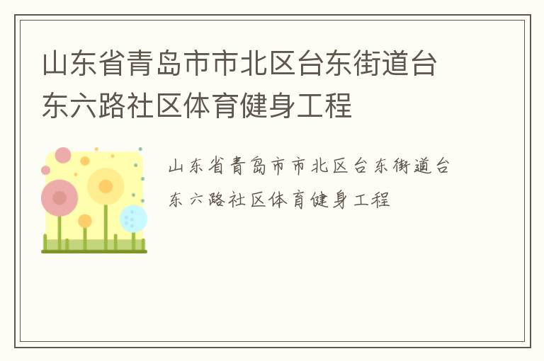山東省青島市市北區(qū)臺(tái)東街道臺(tái)東六路社區(qū)體育健身工程