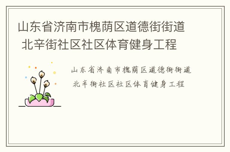 山東省濟南市槐蔭區道德街街道 北辛街社區社區體育健身工程