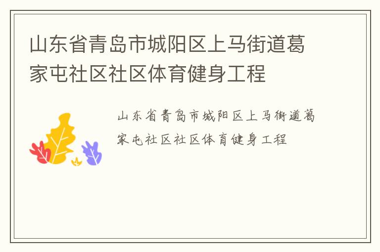 山東省青島市城陽區上馬街道葛家屯社區社區體育健身工程