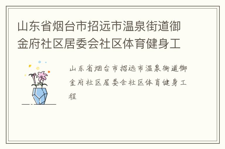 山東省煙臺市招遠市溫泉街道御金府社區居委會社區體育健身工程
