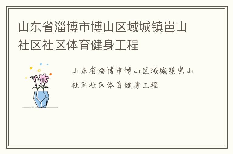 山東省淄博市博山區域城鎮岜山社區社區體育健身工程