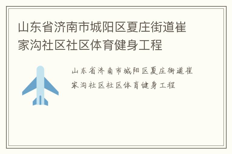 山東省濟南市城陽區夏莊街道崔家溝社區社區體育健身工程