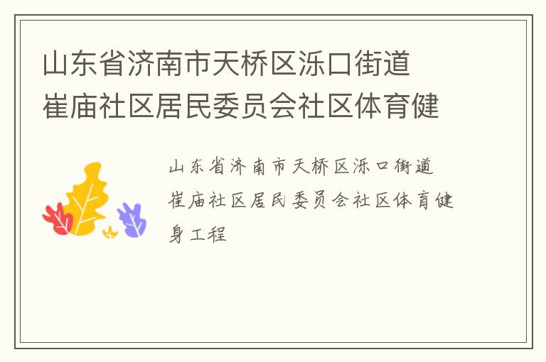 山東省濟(jì)南市天橋區(qū)濼口街道  崔廟社區(qū)居民委員會(huì)社區(qū)體育健身工程