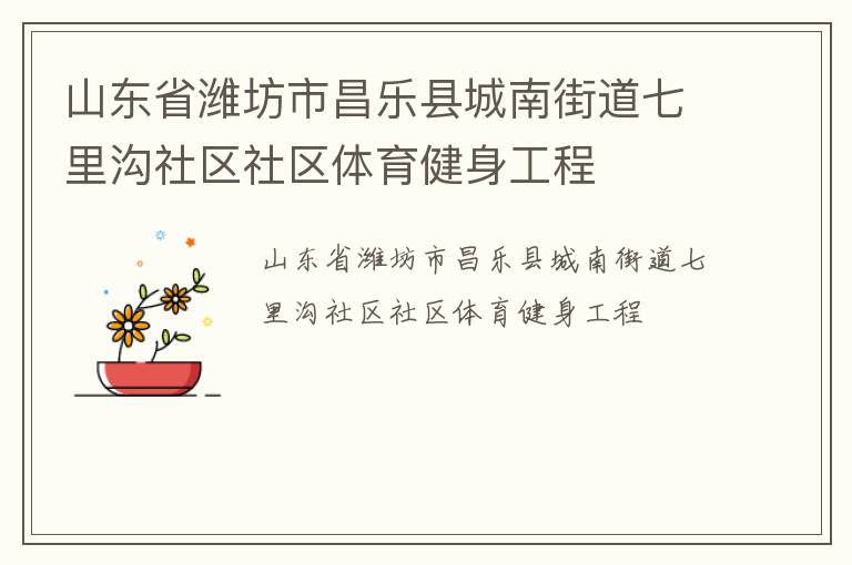 山東省濰坊市昌樂縣城南街道七里溝社區社區體育健身工程