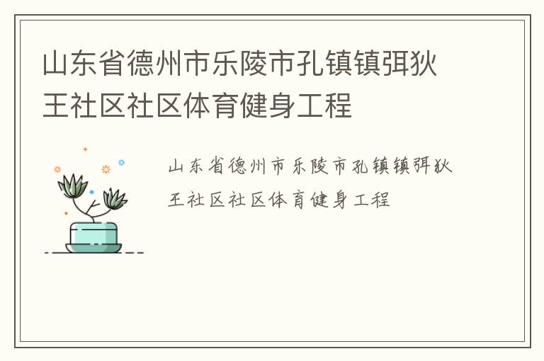 山東省德州市樂陵市孔鎮鎮弭狄王社區社區體育健身工程