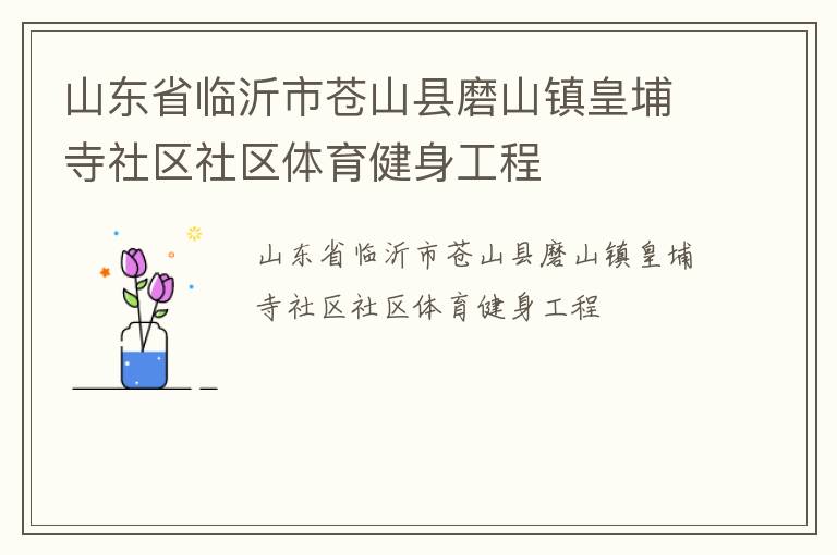 山東省臨沂市蒼山縣磨山鎮皇埔寺社區社區體育健身工程