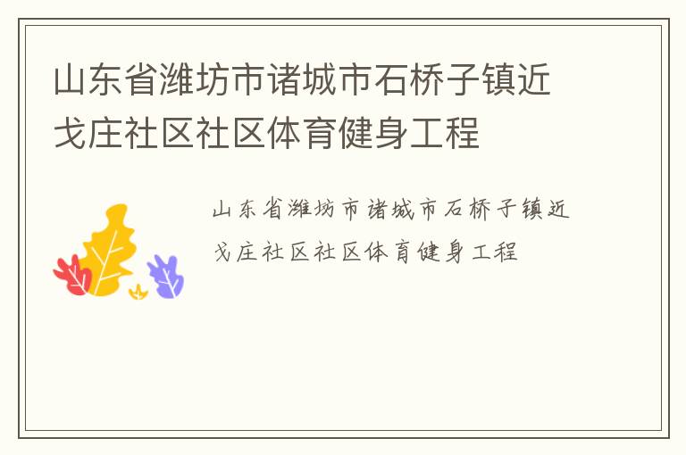 山東省濰坊市諸城市石橋子鎮近戈莊社區社區體育健身工程