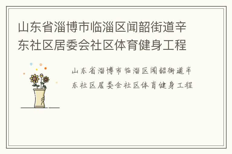 山東省淄博市臨淄區聞韶街道辛東社區居委會社區體育健身工程