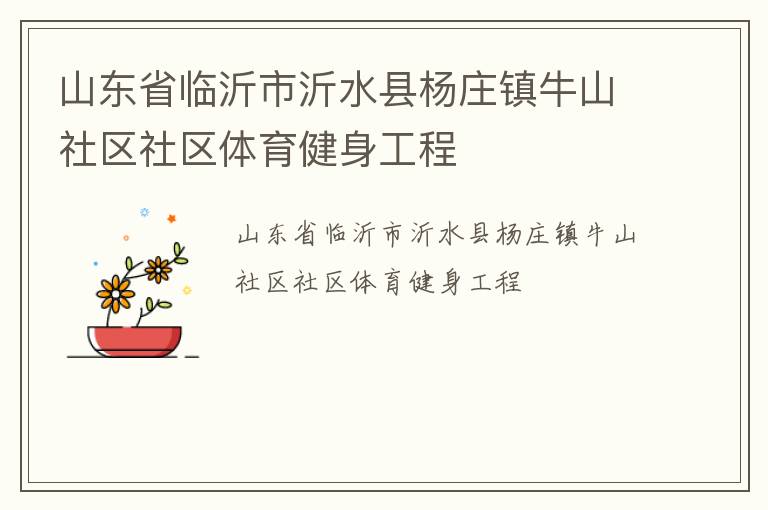 山東省臨沂市沂水縣楊莊鎮牛山社區社區體育健身工程