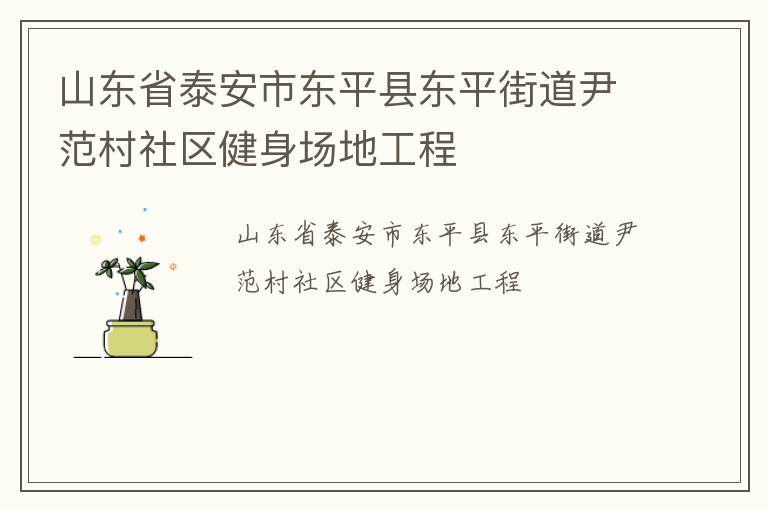山東省泰安市東平縣東平街道尹范村社區健身場地工程